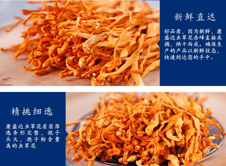 虫草花_09