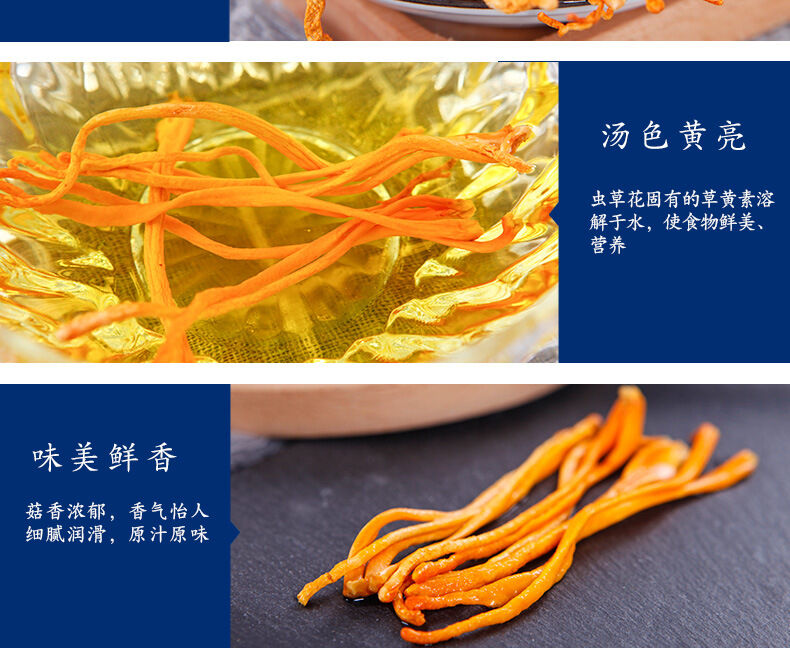 虫草花_10