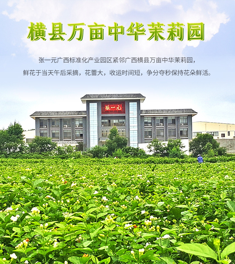 详情 (7).jpg